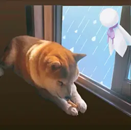 棚主アイコン