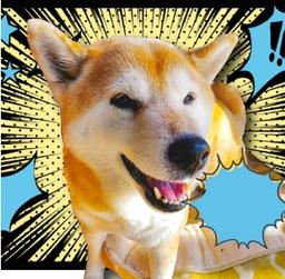 文学画廊カール君