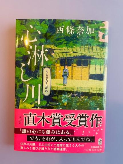 心淋(うらさび)し川