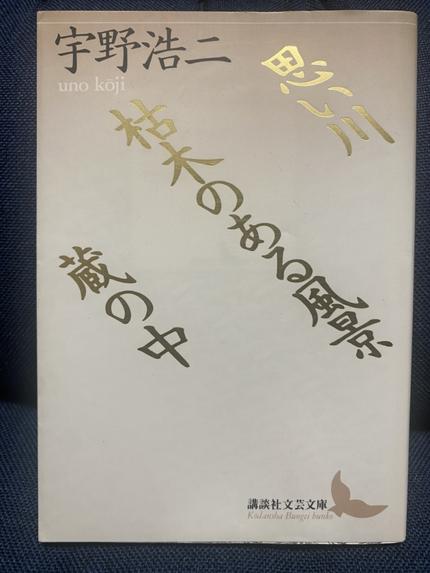 思い川 枯木のある風景 蔵の中