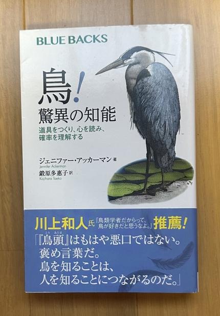 鳥! 驚異の知能