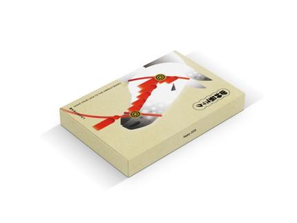 御神籤ブック in the box【神馬】