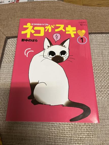 ネコがスキ❤️ 野中のばら