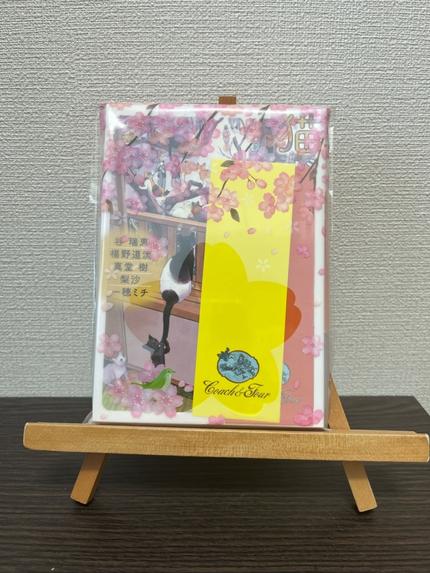 猫だまりの日々