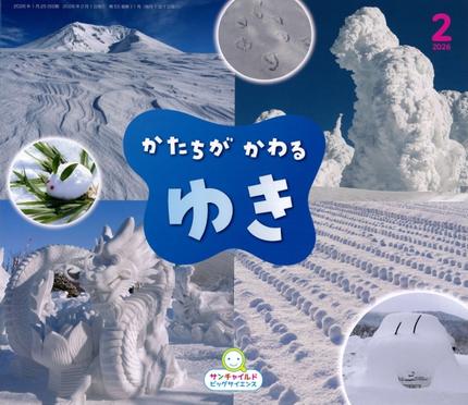 ビッグサイエンス2月号『かたちが かわる ゆき』