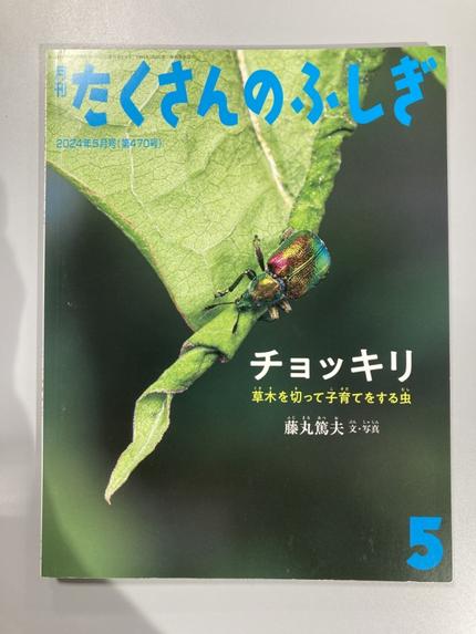 たくさんのふしぎ チョッキリ