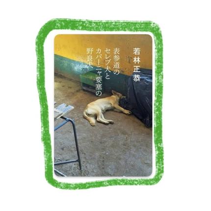 表参道のセレブ犬とカバーニャ要塞の野良犬