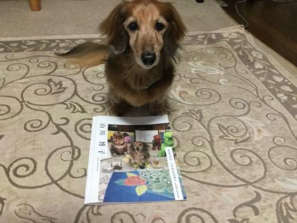 ラッシー君作品集その1