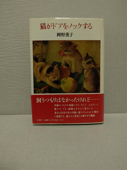 猫がドアをノックする