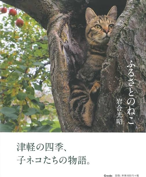 ふるさとのねこ　画像1